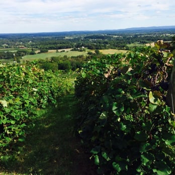 Bluemont Vineyard - Venues & Event Spaces Near Me - Bluemont, Virginia