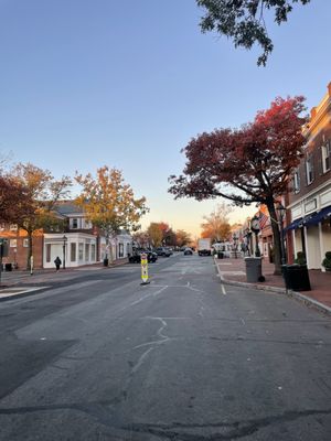 Adirondack Store & Gallery by null