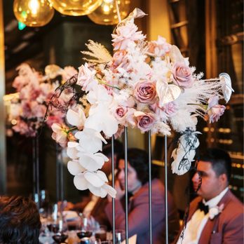 Lucid Juliet - Florists Near Me