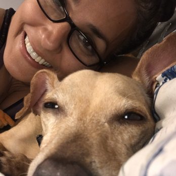 Island Pet Movers - Reunited after a long flight. Time for a nap. - Pet Transportation Near Me - Honolulu, Hawaii Island Pet Movers - Reunited after a long flight. Time for a nap. - Pet Transportation Near Me - Honolulu, Hawaii