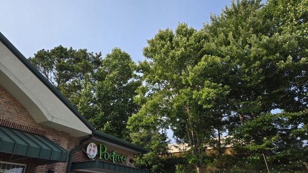 Poetree Cafe by null