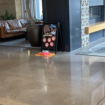 Canopy by Hilton Tempe Downtown - Doggy water bowl- pet friendly - Hotels Near Me - Tempe, Arizona Canopy by Hilton Tempe Downtown - Doggy water bowl- pet friendly - Hotels Near Me - Tempe, Arizona