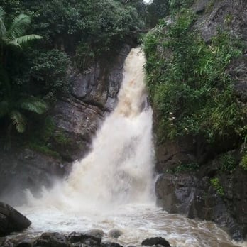 El Yunque Rainforest - La Mina Trail Waterfall - Hiking Near Me - Luquillo, Puerto Rico