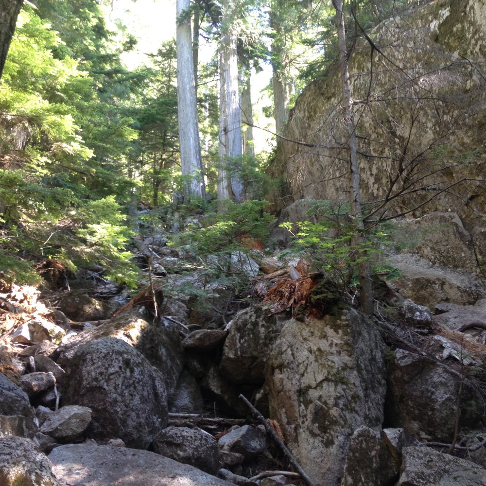 "Trail" up to 3rd Peak~ "Trail" up to 3rd Peak~