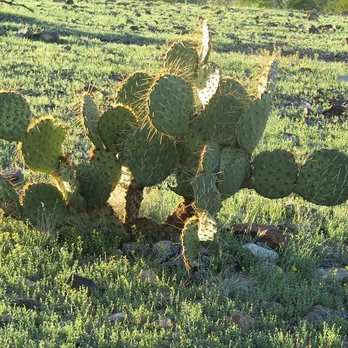 South Mountain Park - Parks Near Me - Phoenix, Arizona