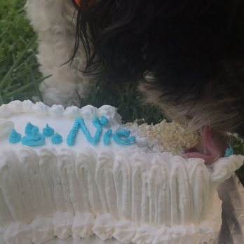 Redondo Dog - So gentle eating it! - Pet Services Near Me - Carson, California Redondo Dog - So gentle eating it! - Pet Services Near Me - Carson, California