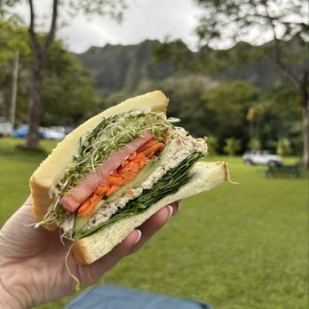 Pai's Deli - Chicken salad - Delis Near Me - Honolulu, Hawaii