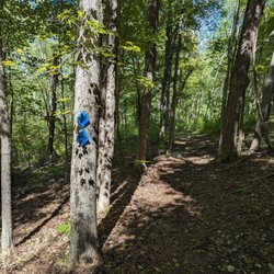 Whitlock Preserve - The loop section.