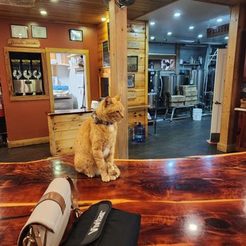 Ormond Brewing Company - Breweries Near Me - Ormond Beach, Florida
