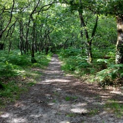 Boucle du Bois des Sources