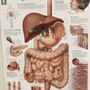 Photo of The Body Benefit