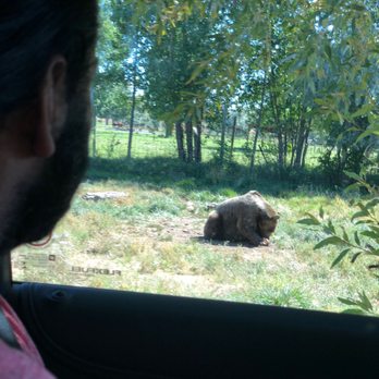 Yellowstone Bear World - Zoos Near Me - Rexburg, Idaho Yellowstone Bear World - Zoos Near Me - Rexburg, Idaho