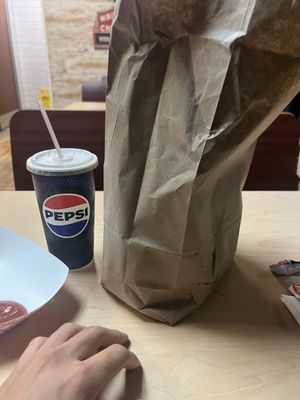 The Clark Street Dog by null