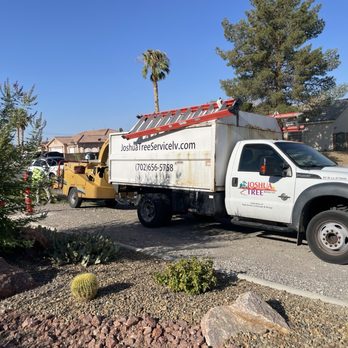 High Desert Landscape & Design - Joshua tree service, the subsidiary of High Desert Landscape and design - Tree Services Near Me - Las Vegas, Nevada High Desert Landscape & Design - Joshua tree service, the subsidiary of High Desert Landscape and design - Tree Services Near Me - Las Vegas, Nevada
