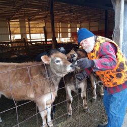 J&L Quality Pallets - My husband n calfs