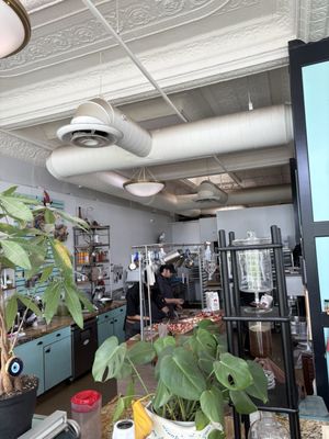 Mestiza Coffeehouse by null