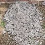 C&C Dryer Vent Cleaning