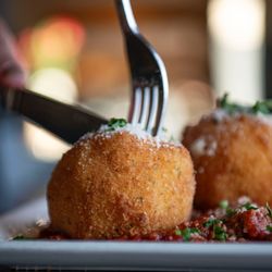 user provided Carnivore photo