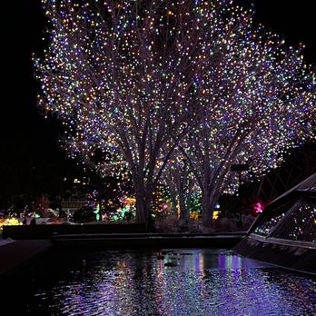 Blossoms of Light - Botanical Gardens Near Me - Denver, Colorado