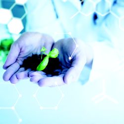 California Laboratory Services - California Laboratory Services offers a full range of soil testing.
