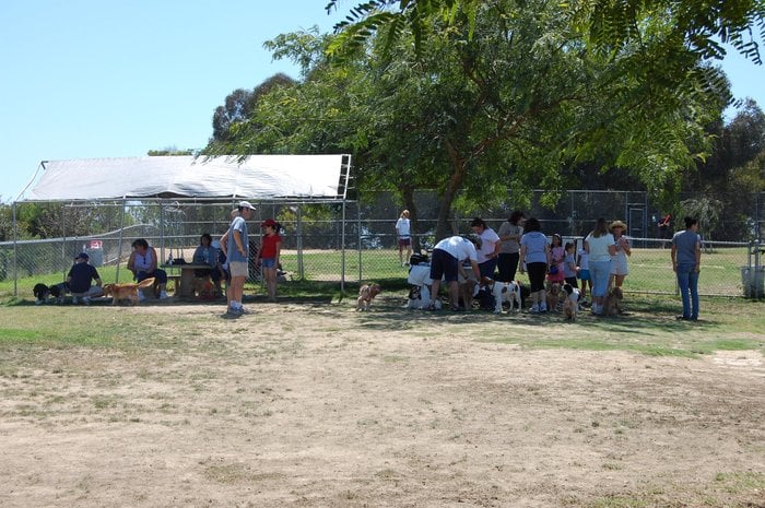 San Diego Cocker Meetup Group @  Doyle Park Dog Park Logo