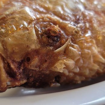Ostreria El Submarino - Mojarra Frita (Fried Tilapia) - Seafood Near Me - Hialeah, Florida