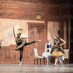 The School of Classical Ballet and Dance