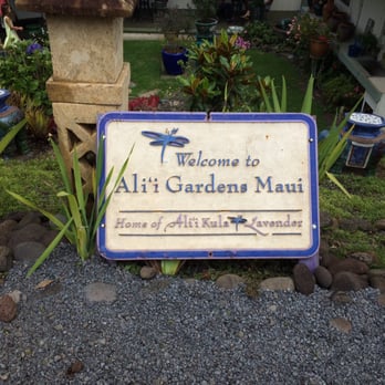 Ali'i Kula Lavender - Tours Near Me - Kula, Hawaii