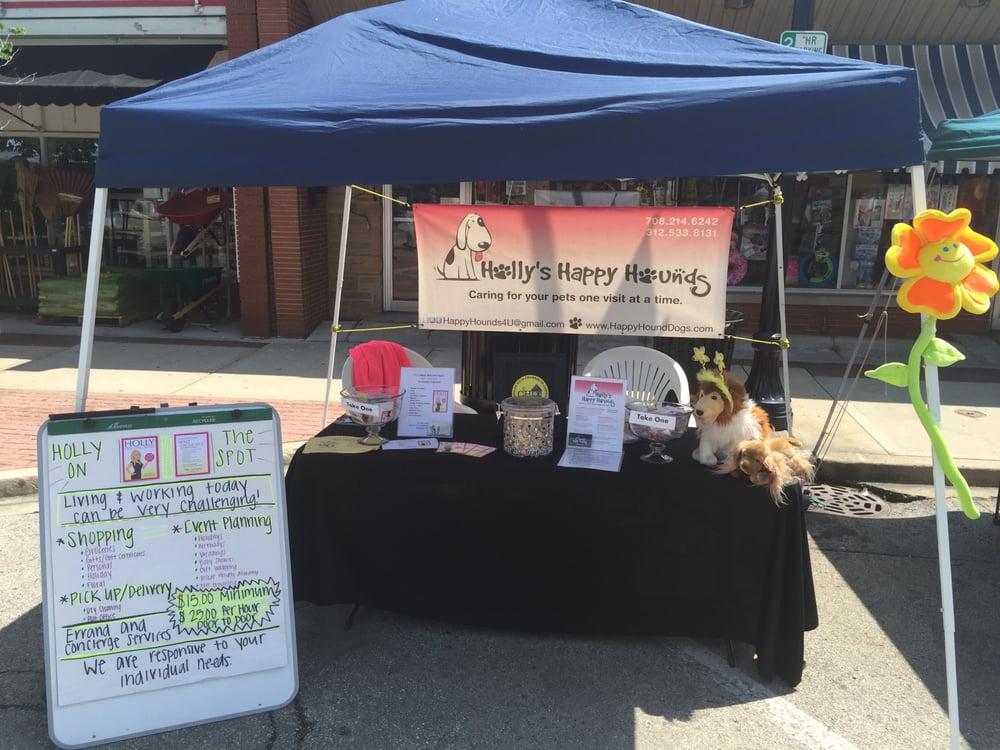 HOLLYS HAPPY HOUNDS Updated May 2024 Willow Springs, Illinois Dog