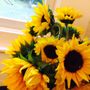 Photo of Spruce Pine Florist