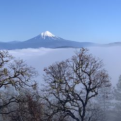Roxy Ann Peak - Amazing view!