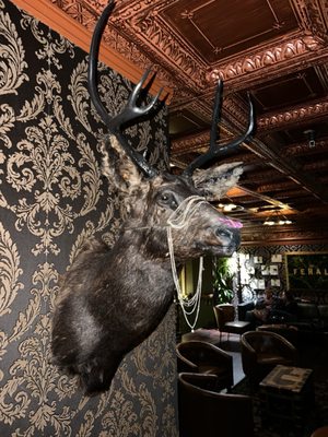 Feral Kitchen & Lounge by null