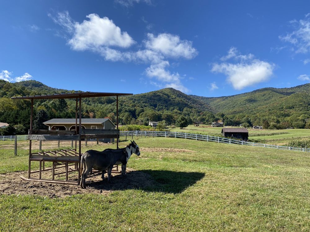 WINCHESTER CREEK FARM 20 Photos 386 Walker Rd, Waynesville, North