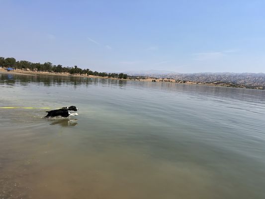 Lake Berryessa by null