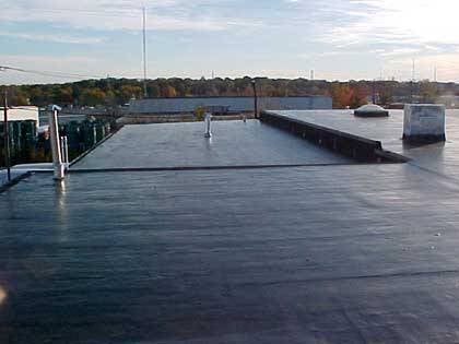 Slide of Bart's Roof Repairs