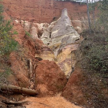 Providence Canyon State Park - Looking up - Parks Near Me - Lumpkin, Georgia Providence Canyon State Park - Looking up - Parks Near Me - Lumpkin, Georgia