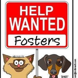 One Life To Live Pet Rescue and Adoption Inc