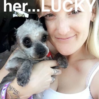 Doggie Spa - Pet Groomers Near Me - Corona, California Doggie Spa - Pet Groomers Near Me - Corona, California