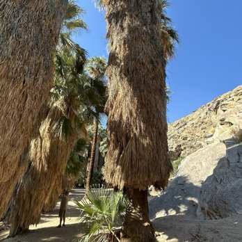 Indian Canyons - Parks Near Me - Palm Springs, California