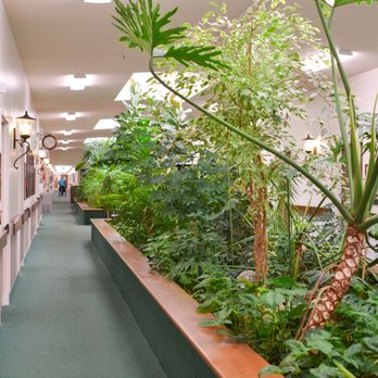 Gardens Assisted Living - Plants to keep the air clean - Assisted Living Facilities Near Me - Ogden, Utah Gardens Assisted Living - Plants to keep the air clean - Assisted Living Facilities Near Me - Ogden, Utah