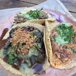Frijoles con puerco, chicken tinga, and chile verde tacos. All of these came with onions, which I'm a bit sensitive to, so ordered without Frijoles con puerco, chicken tinga, and chile verde tacos. All of these came with onions, which I'm a bit sensitive to, so ordered without