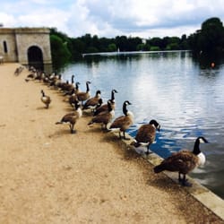 Mote park