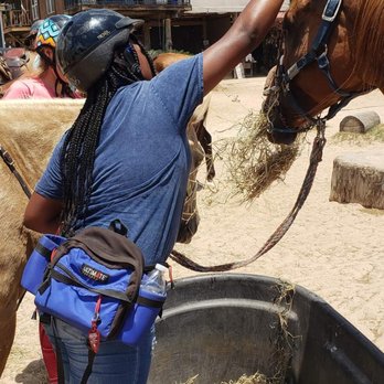 Cypress Trails Ranch - Horseback Riding Near Me - Humble, Texas Cypress Trails Ranch - Horseback Riding Near Me - Humble, Texas