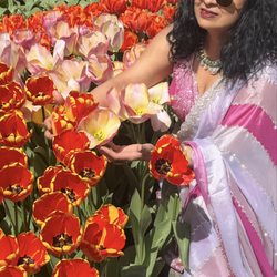 Dhoom Indian Fashion Clothing and Bridal