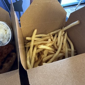 Dirty Byrd - Fries - Chicken Shop Near Me - Brandon, Florida