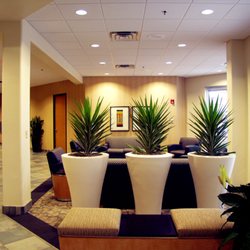 Arlington Orthopedic Associates, PA