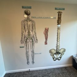 Donnell Chiropractic