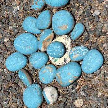 Friends For Life Animal Rescue - Precious notes painted on rocks - Animal Shelters Near Me - Gilbert, Arizona Friends For Life Animal Rescue - Precious notes painted on rocks - Animal Shelters Near Me - Gilbert, Arizona