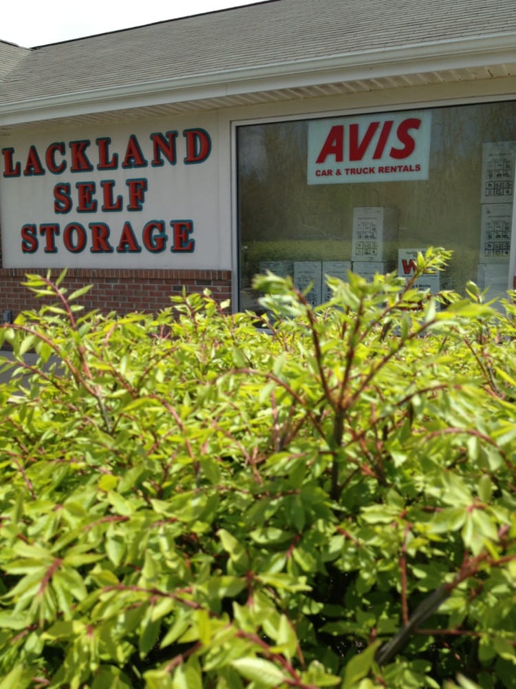 AVIS RENT A CAR AND TRUCK RENTAL Updated July 2024 309 E Bay Ave