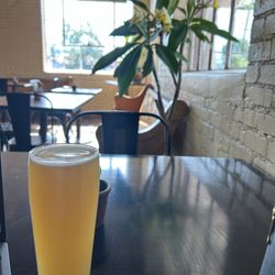 Sweetbay Brewing - One of their IPAs